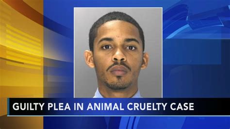 Suspect in fatal animal cruelty case pleads not guilty