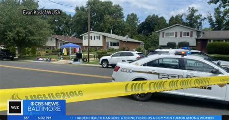 Suspect in unprovoked stabbing shot to death by police in DC suburb, police say