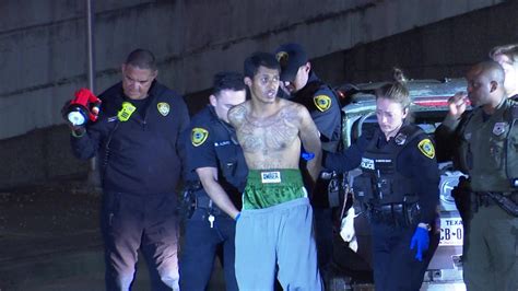 Suspected carjacker who led police on multi-county chase captured south of Sunrise Blvd