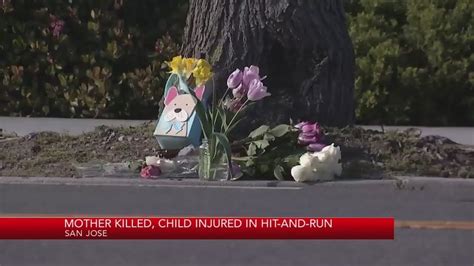 Suspected driver in custody after mother died in San Jose hit-and-run