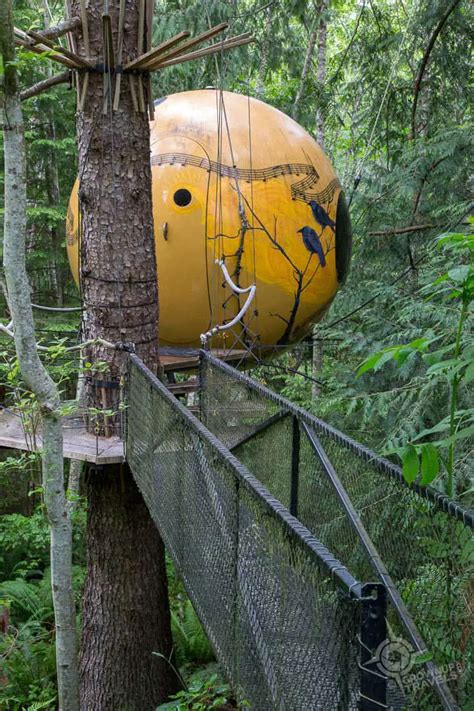 Suspended In Beauty: The Free Spirit Spheres Of Vancouver Island