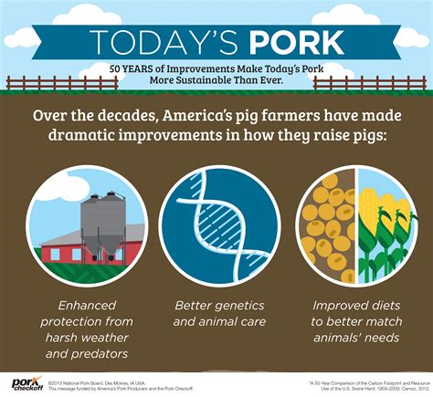 Sustainable Pork Production: What Does it Really Mean?