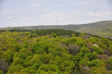 Susurluk District Guide Susurluk Travel Guide Expat Guide.