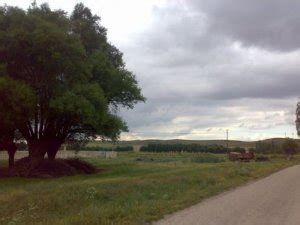 Susuzosmaniye Halı ve Koltuk Yıkama