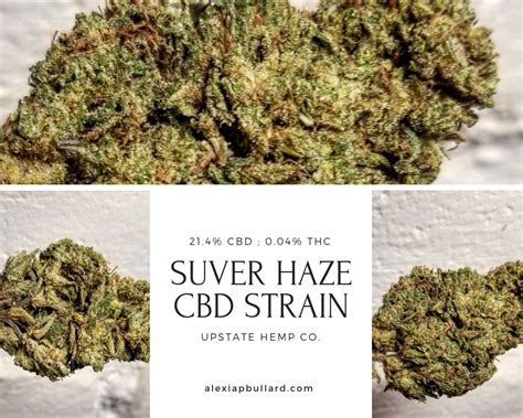 Suver Haze CBD Strain - CBDbay