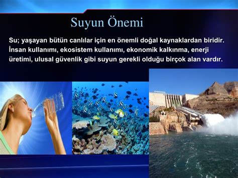 Suyun Önemi; Ne Kadar Su Tüketmeliyiz? Elite Hospital.