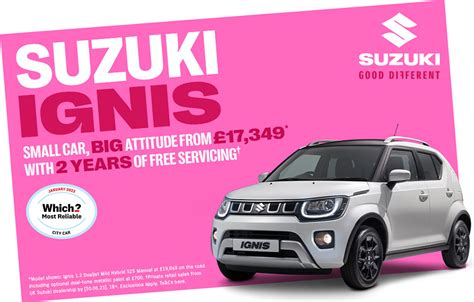 Suzuki Servicing Ponthir Group