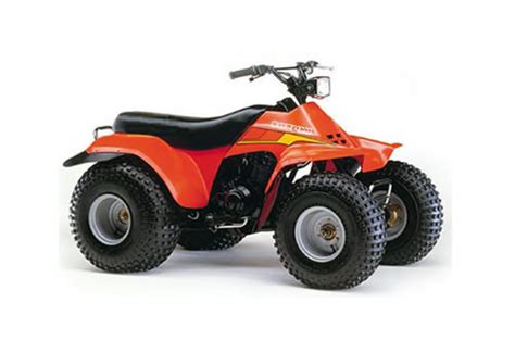 Suzuki quadrunner lt185 lt 185 full service repair manual 1984 1987. - Developing and delivering practice based evidence a guide for the psychological therapies.