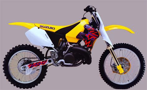 Suzuki rm250 96 02 manuale di servizio. - Songs of ourselves part 1 study guide.