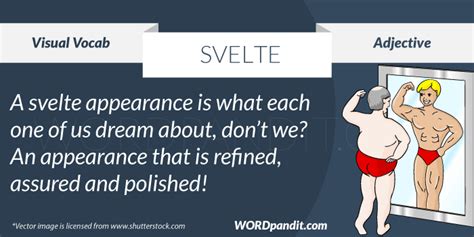 Svelte Definition & Meaning Dictionary.com