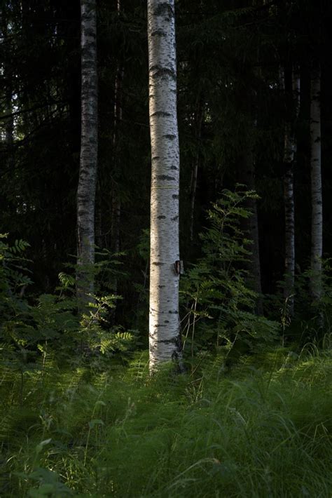 Svenska kyrkan fastigheter till salu