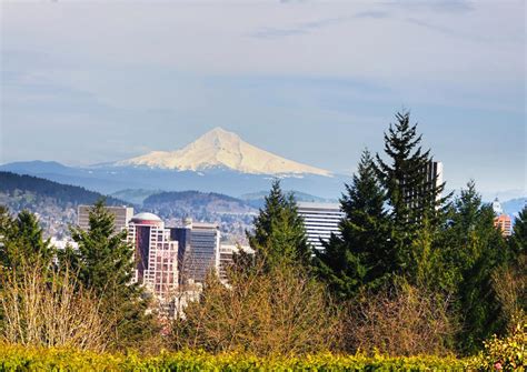 Sw hills portland. Homes for sale in Southwest Hills, Portland, OR have a median listing home price of $1,009,995. There are 62 active homes for sale in Southwest Hills, Portland, OR, which spend an average of 91 ... 