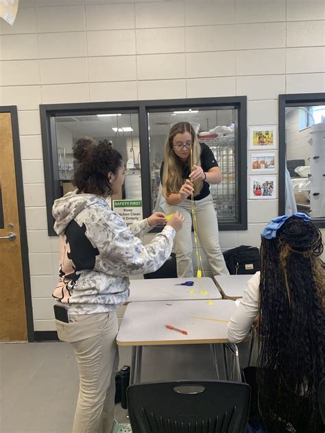 Swainsboro high school.  SHS prides itself on offering a variety of classes,...
