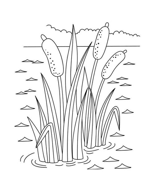 Cozy Friends Coloring Pages Printable