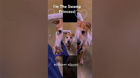 Swampy_Princess Onlyfans Leak [CLIP] 💋 19 Pics