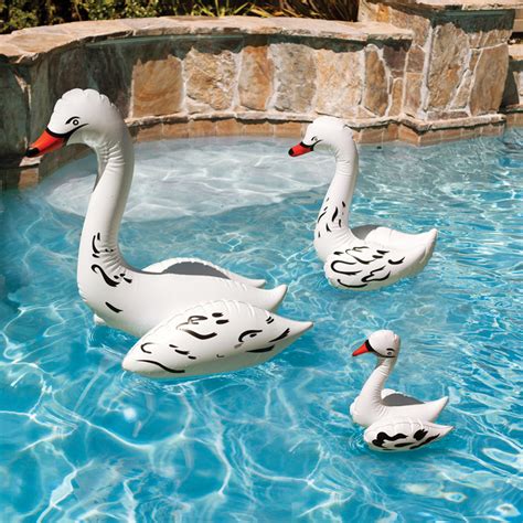 Swan for Pool Decor - Etsy