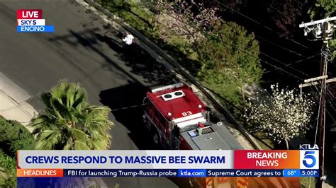 Swarm of bees close Los Angeles-area streets; injuries reported