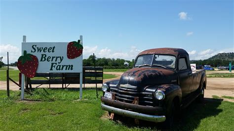 Sweet Berry Farm - Visit Marble Falls