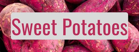 Sweet Potato - Webb