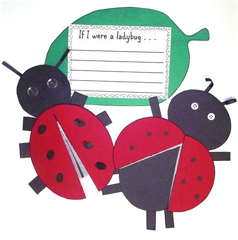 Sweet Tea Classroom Ladybugs in the Classroom