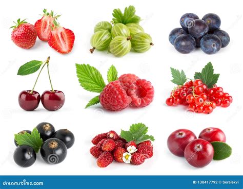 Sweet berries. Things To Know About Sweet berries. 