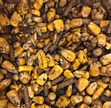 Sweet feed for deer. Purina offers deer feeds, supplements, complete feeds and attractants for free range deer and breeder deer in mineral, block, textured or pelleted form. 