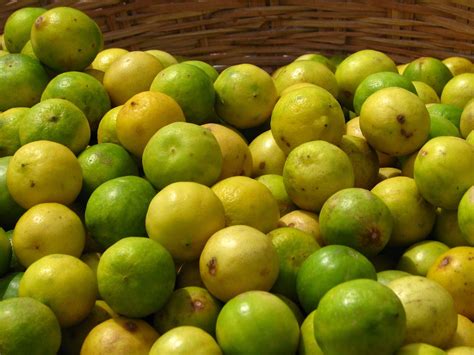 Sweet limes. Oct 10, 2017 · Mexican limes are widely used in the cuisine and offer a bright, acidic touch to food and beverages. All limes pictured in this post are Mexican limes. Lime juice is an indispensable part of Mexican cuisine. It’s used in everything from beverages to dressing ceviche, soups, salads, fruit and vegetables, meats, in desserts and more. 
