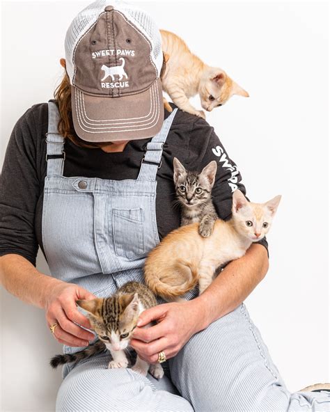 Sweet paws rescue. Sponsor. Thank you for helping homeless pets! The Sponsor a Pet program is handled by The Petfinder Foundation, a 501(c)3 nonprofit organization, to ensure that shelters and rescue groups receive donations in the easiest way possible. 