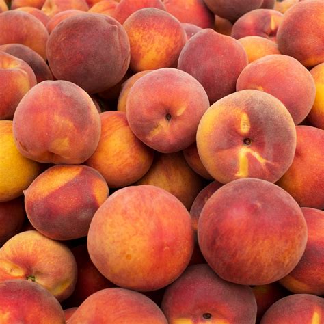 Sweet peaches. Sweet & Savory Peach Recipes. Over 35 sweet and savory peach recipes that are a wonderful mix of dinners, appetizers, desserts and drinks. Use your fresh … 