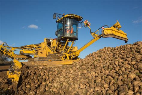 Sweeter 2024 contracts from British Sugar - cpm magazine