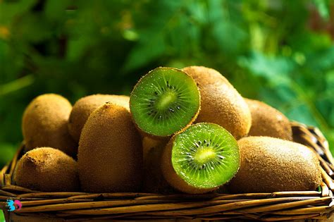Sweetestkiwis Onlyfans Leak