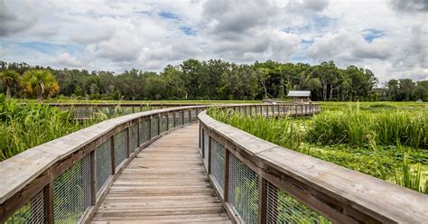 Sweetwater gainesville. Sweetwater Wetlands Park. (352) 393-8520. 325 Southwest Williston Road, Gainesville, FL, USA. www.sweetwaterwetlands.org. Add To Trip Planner Directions. Opened in 2015 by the City of Gainesville, Sweetwater Wetlands … 