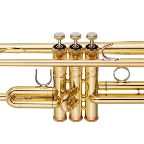 The Victory Musical Instruments Revelation Series Professional Trumpet is a pro-level horn with enviable features. Its .459-inch bore elicits a sound that's both focused and chock-full of gorgeous sonic coloration. Its reverse brass leadpipe supplies an effortless, free-blowing feel, and its enlarged, 5-inch bell ensures exquisite tone and .... 