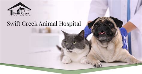 Swift creek animal hospital. Specialties: Since 1986, Swift Creek Animal Hospital has been a full-service veterinary medical facility located in Raleigh, NC. Their experienced and compassionate staff provide outstanding care for their highly valued patients, offering a wide range of services including wellness exams and vaccines; internal medicine; surgical and dental procedures; boarding, bathing, and microchipping ... 