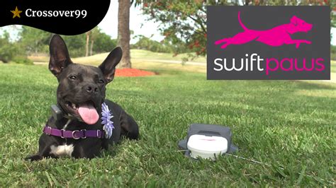 About Swiftpaws – SwiftPaws. Skip to content. SwiftPaws® is a health & wellness lifestyle brand for pets. We believe pets deserve to live their very best lives & we make beautifully playful products that help them do just that! We are a team of passionate pet-people from across the USA with headquarters on the east coast of Central Florida.. 
