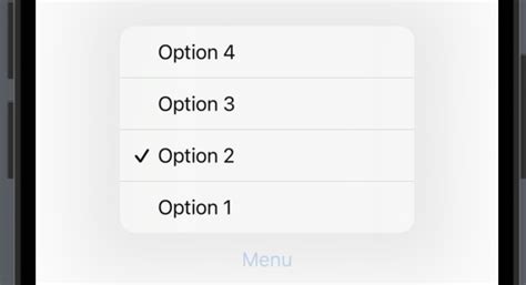 Swiftui settings menu