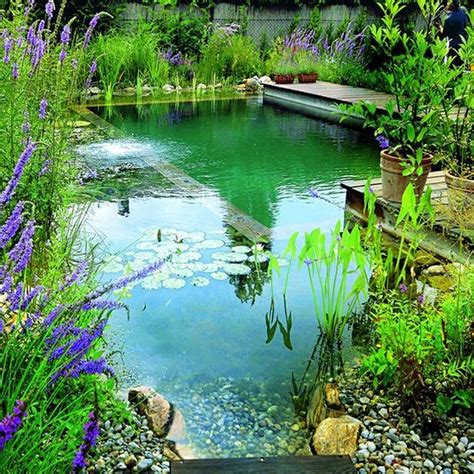 Swimming pond. A natural pool is cleaned with plants instead of chemicals—have you ever thought about how many pounds of chemicals go into a typical swimming pool? A range of aquatic … 
