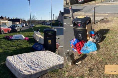Swindon Residents Outraged Over Fly-Tipping Near Wilts & Berks Canal (2026)