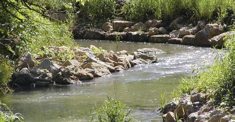 Swiss Valley Creek - Iowa DNR