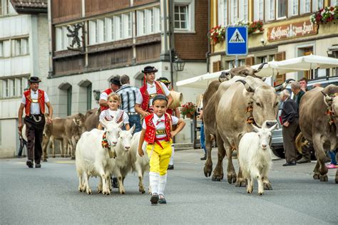 Swiss jamil - lifestyle & fashion by sonja siam in Samstagern