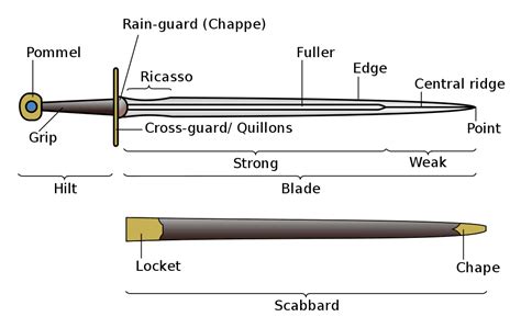 Sword-shaped - Definition, Meaning & Synonyms Vocabulary.com