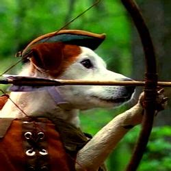 💦 Swordgirlfrend  Leaked (SEX) 176 Videos