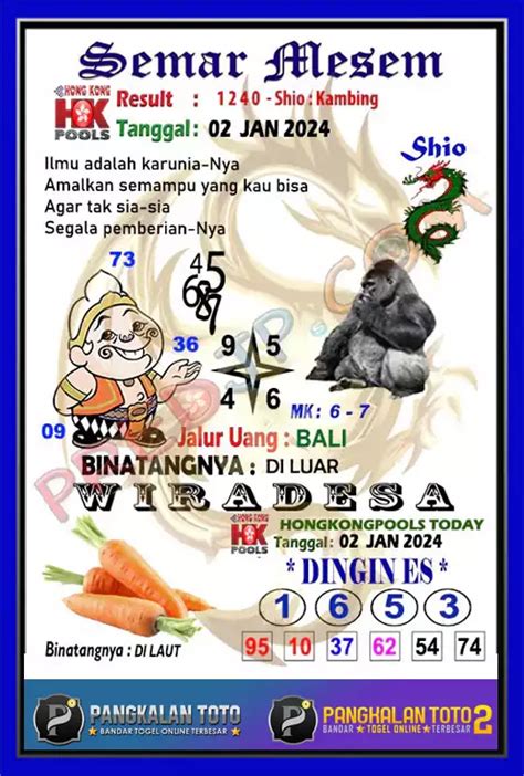 Syair hk 23 januari 2024. Bocoran.