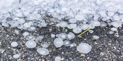 😈 Sydney Hail Leaks [PPV]