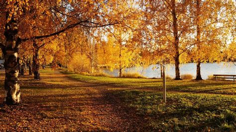Näe ja koe. Ota kaikki irti syksystä Helsingissä. Helsinki on värikkäimmillään syksyisin, kun ruska värjää puut keltaisiksi, oransseiksi ja punaisiksi. Kaupungissa muuttuvat syksyllä paitsi värit niin myös tarjolla olevat kokemukset.. 