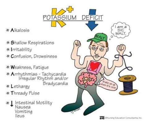 Symptoms and Signs of Low Potassium (Hypokalemia)