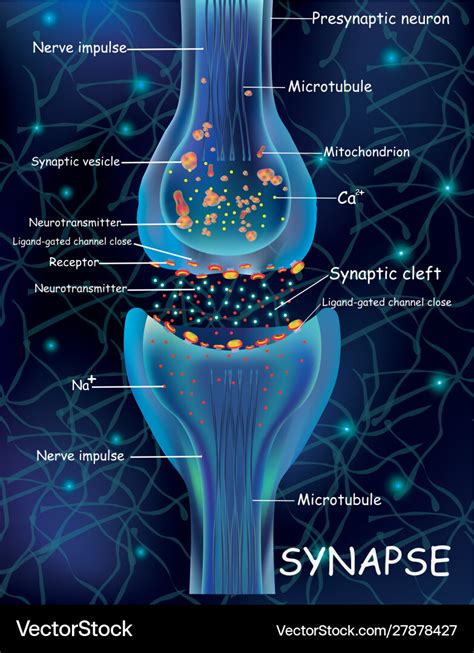 Synapse 다운