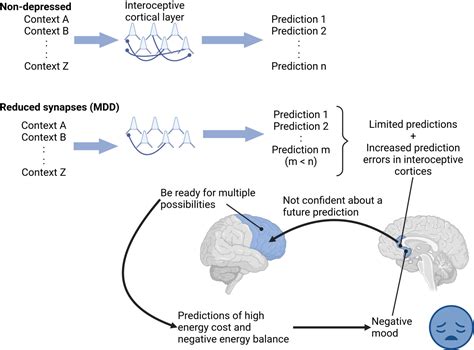 Synapses, predictions, and prediction errors: A neocortical ...