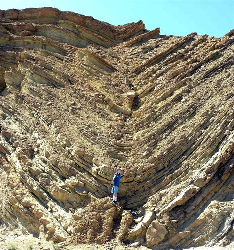 The two types of folding are anticlines and syncl
