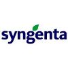 Syngenta salaries: How much does Syngenta pay?